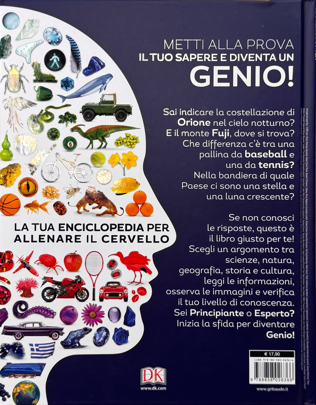 Genius sfida te stesso RETRO.jpeg
