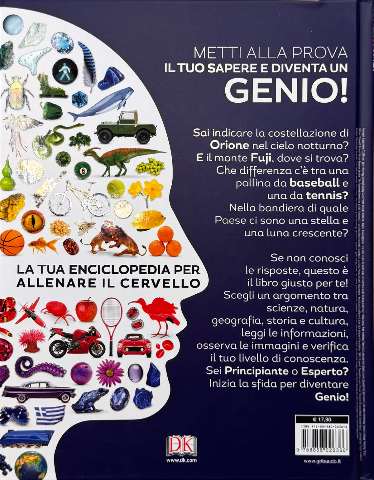 Genius sfida te stesso RETRO.jpeg