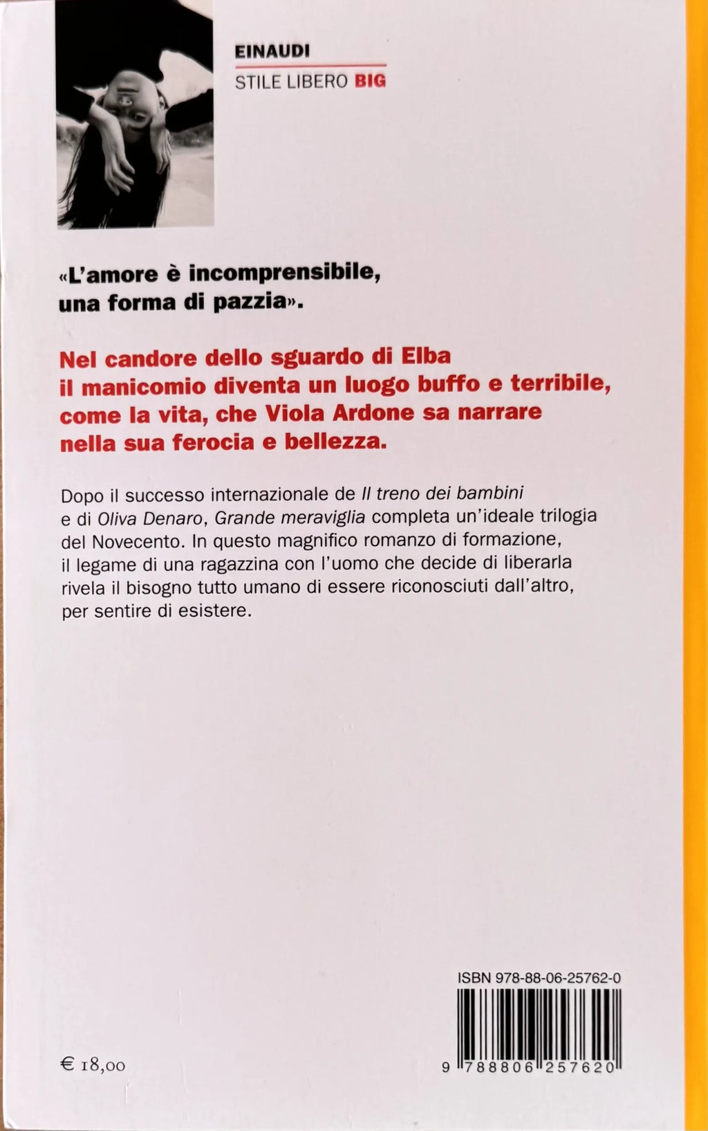 Grande meraviglia Ardone RETRO_risultato.webp