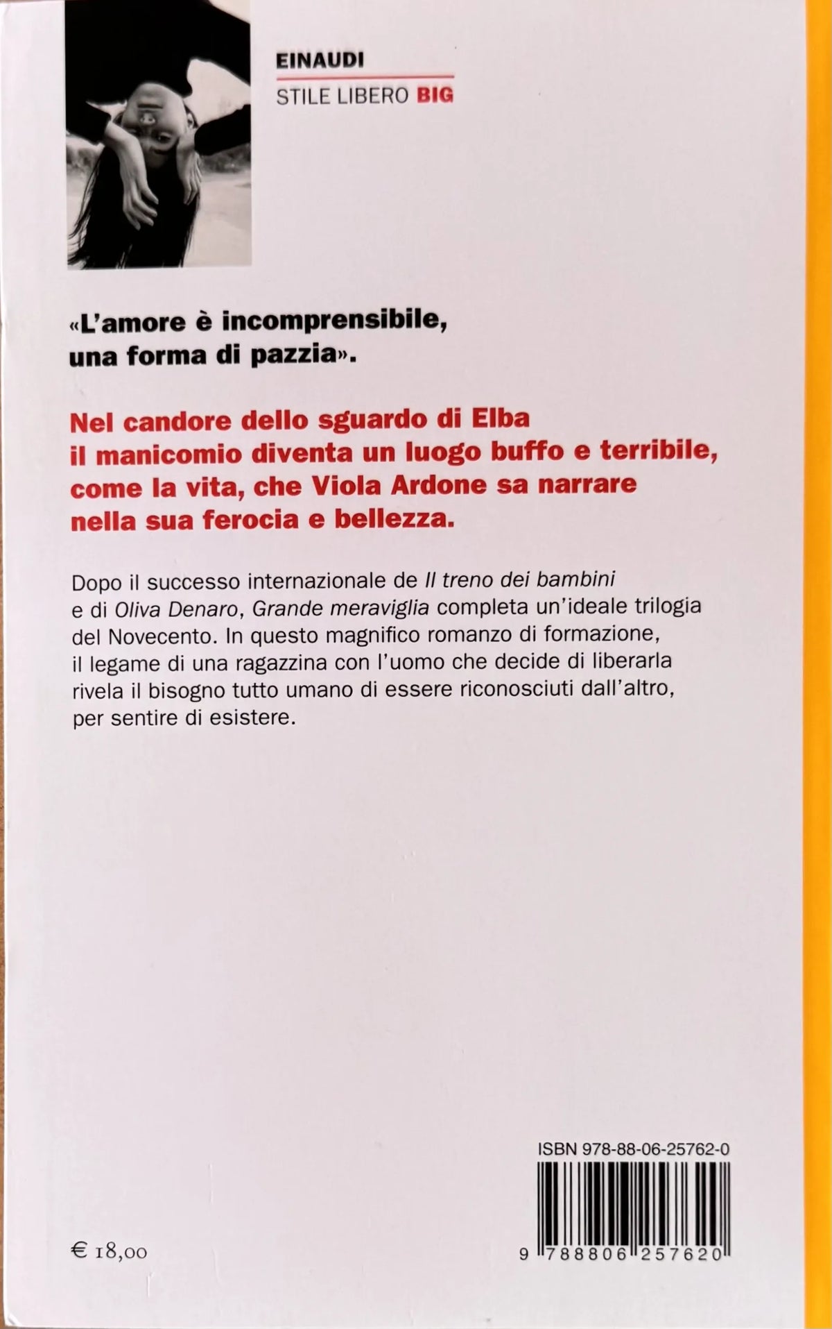 Grande meraviglia Ardone RETRO_risultato.webp