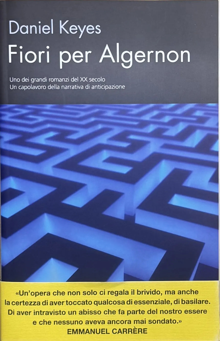 IMG_0356_risultato.webp